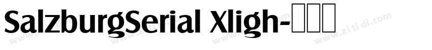 SalzburgSerial Xligh字体转换 SalzburgSerial Xligh字体转换
